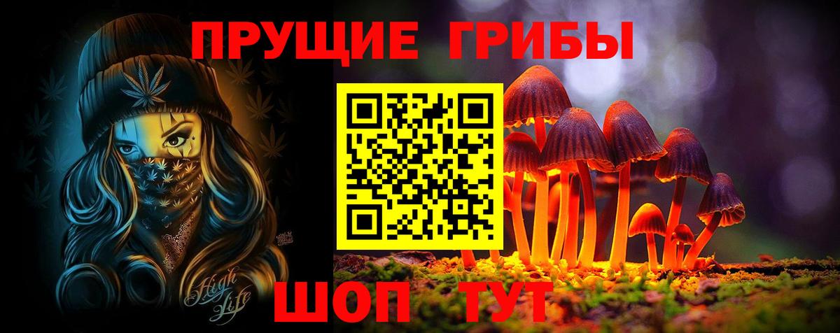 Галлюциногенные грибы GOLDEN TEACHER  Вход с VPN  Вышний Волочёк  Галлюциногенные грибы ЛСД 